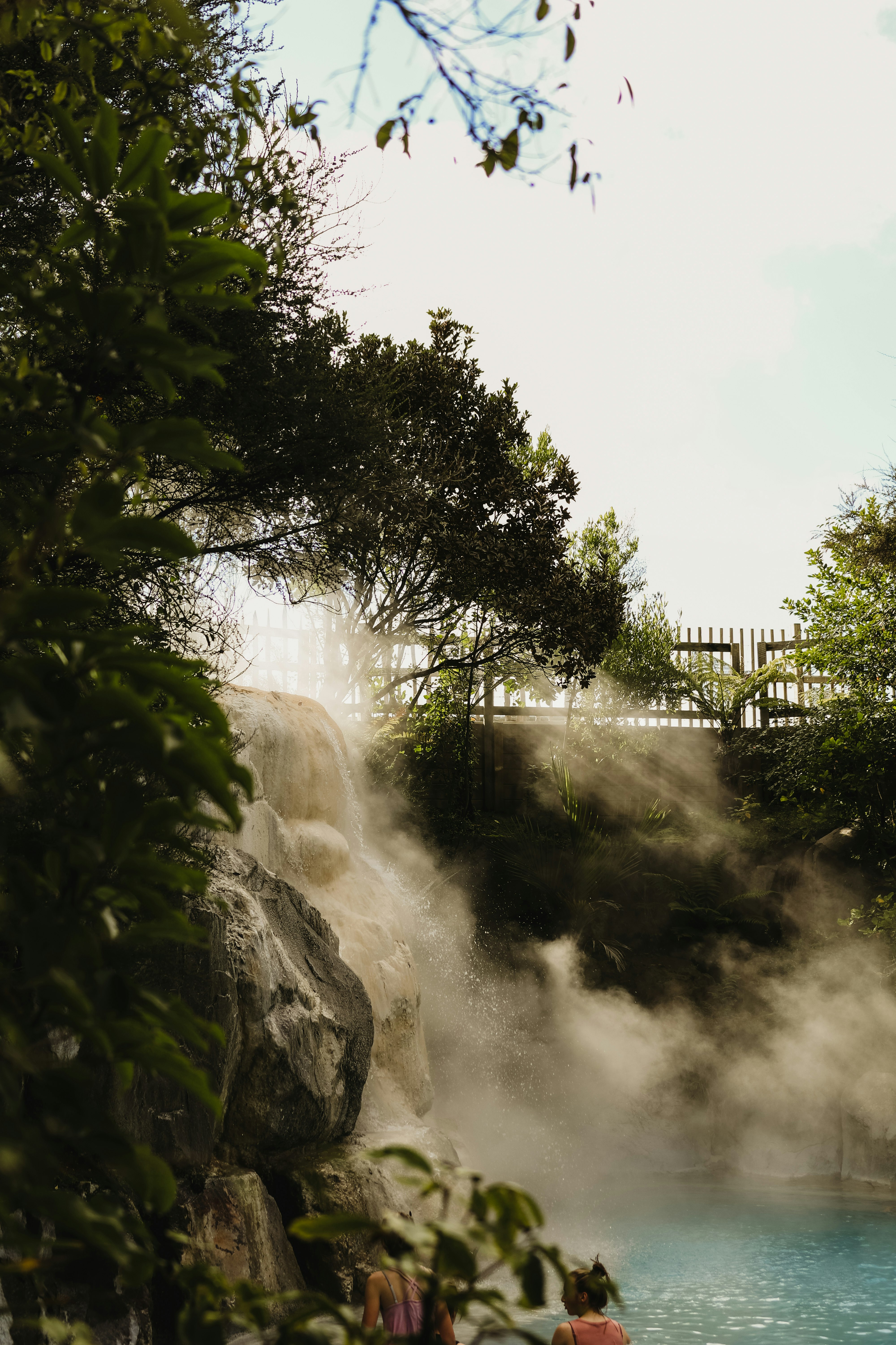 green trees near water falls during daytime